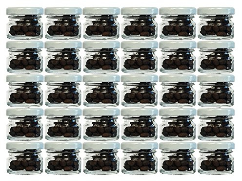 hocz 30er Set Sturzgläser Mini Gläser | Füllmenge 30 ml | Deckelfarbe Weiß | To 43 Rundgläser Marmeladengläser Obstgläser Einweckgläser Honig Gläser Einmachgläser Probiergläser, Imker