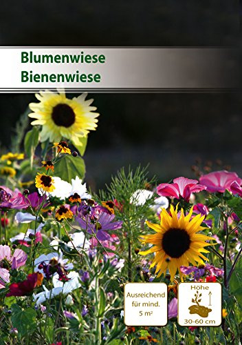 Küpper 398697 Bienenwiese 5 m² (Blumenmischung)