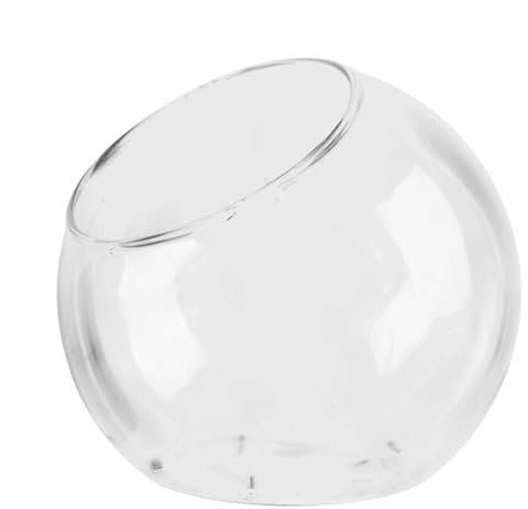 Yaztauho Terrario Rotondo in Vetro, 12 cm, Taglio Obliquo, Supporto per Piante Grasse, Centrotavola Terrario, Vaso in Vetro, Decorazione per la Casa Centrotavola