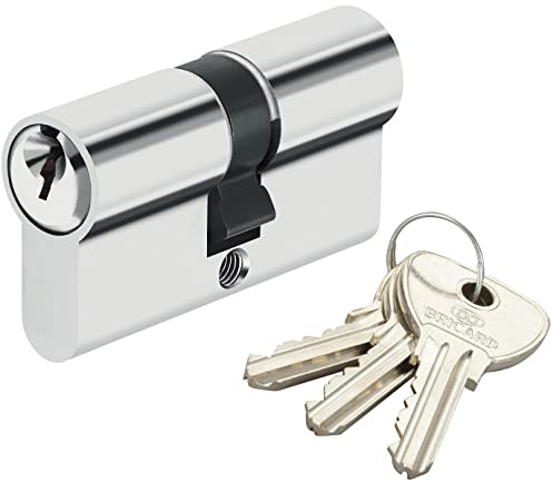 Bricard - Cylindre de sécurité pour porte barillet 40 x 40 mm Alpha Bricard 3 clés