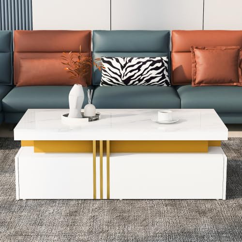 Temdlerpp Table Basse Salon Marbre Rectangulaire avec 2 tiroirs Rangement Design Moderne et Minimaliste 100x50x40cm Blanc Brillant