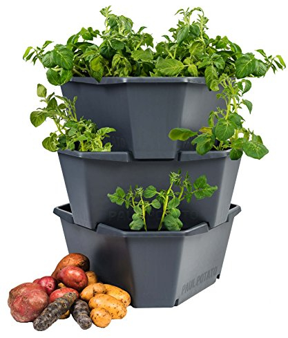 PAUL POTATO Starter Kartoffelturm - 3 Etagen - anthrazit/grau - stapelbar - Hochbeet/Pflanzgefäß für Balkon und Garten