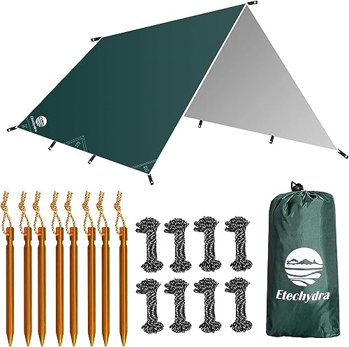 Etechydra Telo per Tenda da Campeggio, Tela Cerata Impermeabile per la Pioggia per Il Campeggio per Campeggio Tarp Telone, Spiaggia, Nave, Picnic, Parasole e coperture da campeggio, 3x4m, verde