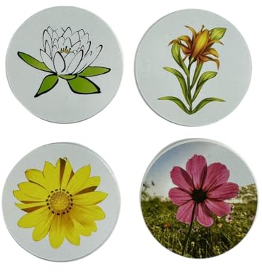 Steckel Deko DS-111 dekorative Steckdosen Abdeckung Staubschutz Deckel Steckdosendeckel Abdeckung für saubere Schuko-Steckdosen Leisten Mehrfachsteckdosen Spritzschutz Design (Blumenmix)
