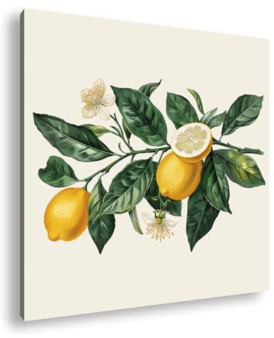 Leinwandbild Zitronen, Blätter und Blüten, detailreich in botanischer Schönheit Format: 60x60 cm XXL Kunstdruck Bild auf Keilrahmen/Wandbild/Wohnzimmer Deko