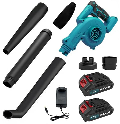 Souffleur et aspirateur sans Fil 2 en 1