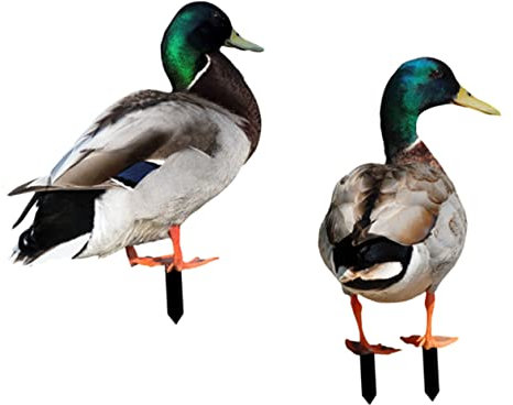 FUNOMOCYA 2stücke Lifelike Duck Gartenstecker Wetterfeste Acryl-Dekoration Für Garten Und Blumenbeete Uv-beständig Für Außenbereiche