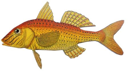 Miniblings Koi Glodfisch Brosche Karpfen Fisch Holz gelasert 75mm | Für Revers, Jacke oder Tasche, aus Berlin, auch als Mitbringsel geeignet