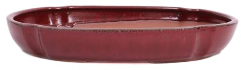 generisch Bonsai - Schale, Waldschale, oval 37.5 x 26.5 x 5.8 cm Bordeaux 51363