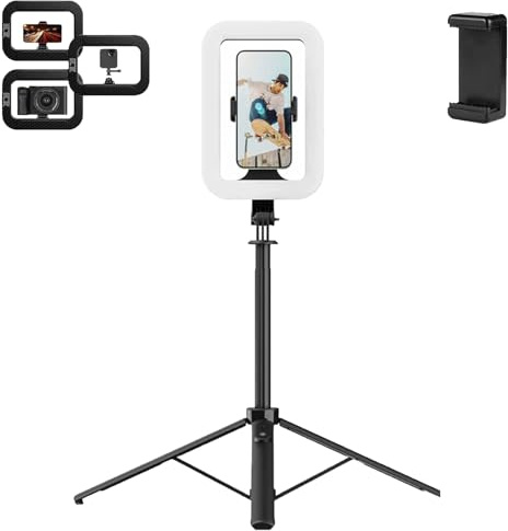 Rechargeable Selfie Portable Ring Light – Adjustable Bicolor Fill Light, Handheld Beauty Fill Light, Battery Phone Video Stabilizer for iPhone (8000mAh (C)) With Bluetooth