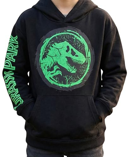 Jurassic Park Boys Hoodie, Dinosaur Graphic Pullover Sweatshirt Black