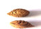 SANWOOD Semillas de nectarina, 5 uds Nectarina Seeds Productive Non-GMO Fruit Tree Seedlings for Landscaping