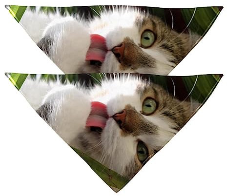 Bandane per cani, confezione da 2, sciarpa triangolare per animali domestici, tessuto in chiffon trasparente, bandana per cani e gatti di taglia piccola, media e grande,Gatto animale che mangia erba