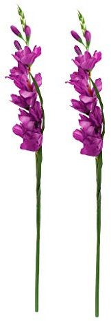 Fenteer 2Pack Artificial Gladiolus Flowers for Wedding Decoration ()