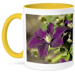 3dRose Garden Flowers - Purple Clematis - Inspired Floral Print 11oz Two-Tone Yellow Mug