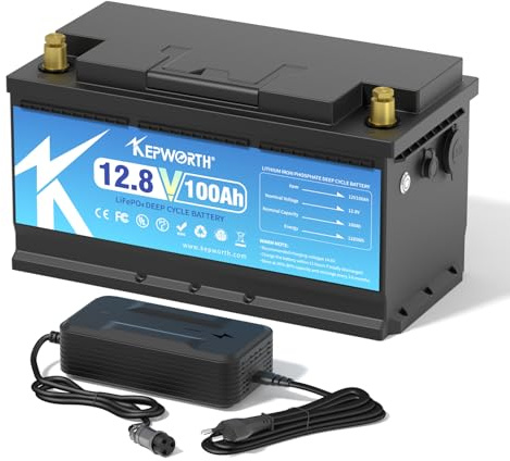 Lifepo4 100ah 12v Akku, 1280wh mit BMS Ersetzt AGM oder Gel Aufbaubatterie für Solaranlage, Geeignet für Solaranlagen, Wohnmobile, Boote, Häuser, Solarpanel-Kits und Camping - mit lifepo4 ladegerät