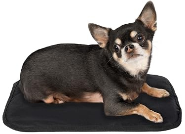 VIASMILE Ultra Soft Compact Cat Bed 30 x 50 cm - Soft Washable Cat Cushion - Dog Bed - Washable Cushion for Small and Medium Dogs - Comfortable Cat Bed for Windowsill