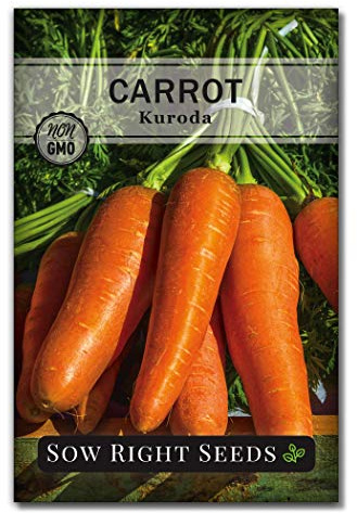 Sow Right Seeds - Kuroda Carrot Seeds for Planting - Non-GMO Heirloom Packet with Instructions to Plant a Home Vegetable Garden - Great for Outdoor Fall Planting - Great Gardening Gift (1)