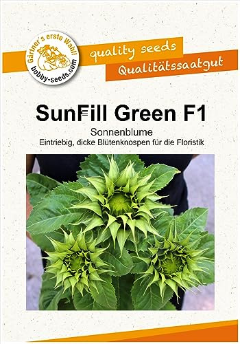 Blumensamen SunFill Green F1 Sonnenblume Portion