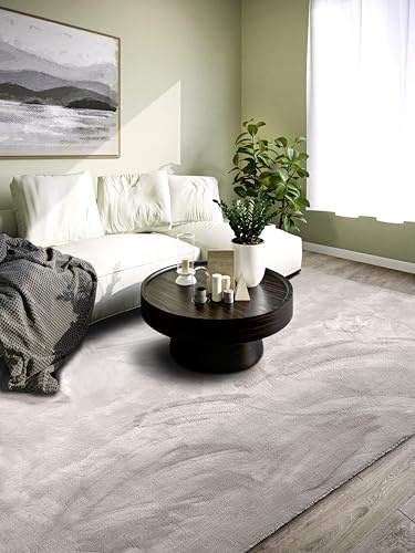 Villeroy & Boch Shaggy Teppich Leon - Flauschiger Hochflor Wohnzimmerteppich - Einfarbig Weich Pflegeleicht Langflor für Wohnzimmer Esszimmer, Schlafzimmer, Kunderzimmer - Hellgrau, 80x150 cm