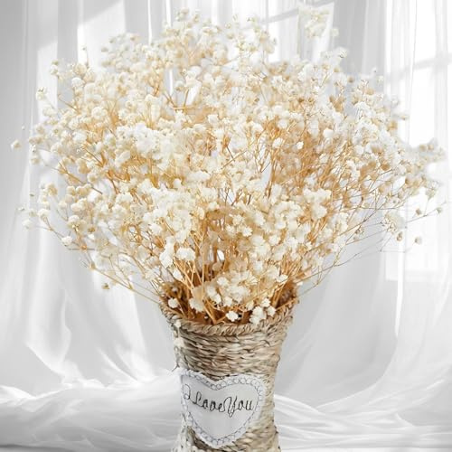 2500+ Dried Babys Breath Flowers Bulk - 17 Ivory White Dried Flower Bouquet, Real Natural Gypsophila Branches for Vase Filler, Wedding, Table Centerpiece, Home Decor, DIY Wreath Floral, Crafts