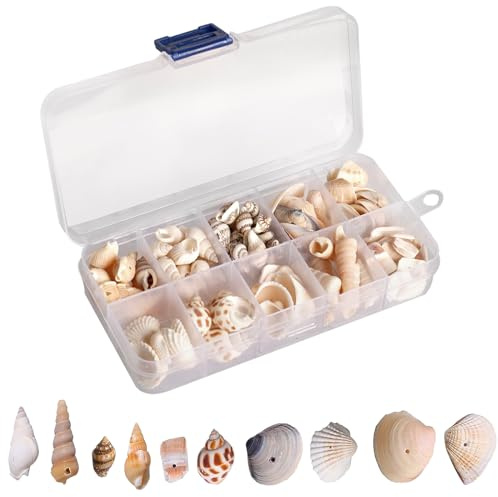 Fhioevt Muscheln Deko - 10 Stile Muscheln zum Basteln mit Loch, Miniatur Jakobsmuschel, Gemischt für Harz Kerze, Basteln & Hochzeitsdeko, Aquarium (150-200)
