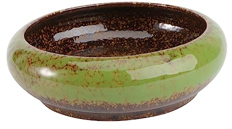 Toddmomy Maceta De Creativa para Suculentas Maceta De para Bonsái Contenedor De Flores para Jardinería Interior