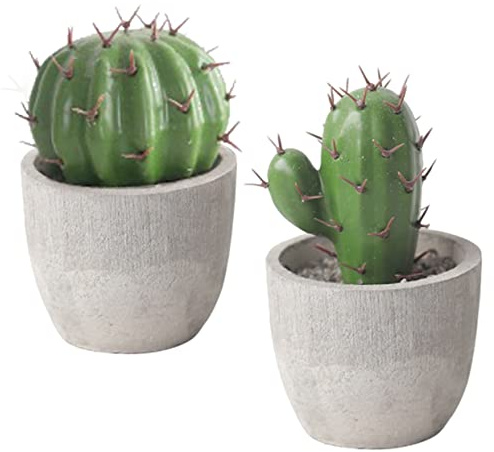 PartyKindom 2pezzi Piante Bonsai Simulazione Cactus Finti in Mini Forma Cartoon in Cemento e Plastico Verde per Decorazione Ufficio Facile da Pulire e Usare