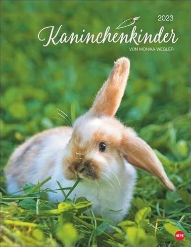 Monika Wegler - Calendario 2023 con diseño de conejos para niños, un encantador calendario animal con bonitas fotos. Calendario decorativo para amantes de los animales. Formato vertical 34 x 44 cm.
