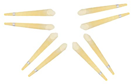 Beaupretty Bienenwachskerzen 8 Stück Trompetenform Aromatherapie Kerzen Zur Ohrreinigung Geeignet Zur Tinnitusreduktion Und Entspannung Aus Materialien Leicht Und Tragbar Für