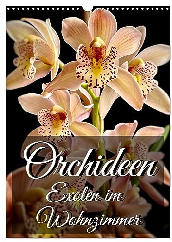 Orchideen - Exoten im Wohnzimmer (Wandkalender 2024 DIN A3 hoch), CALVENDO Monatskalender: Orchideen faszinieren mit ihren exotischen Blüten das ganze Jahr über. (CALVENDO Natur)