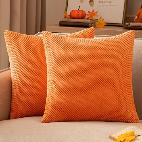 EMEMA Kordsamt Kissenbezug Herbst Dekorative Granulat Sofakissen Dekokissen Kissenbezüge Kissenhülle Couchkissen Überwurf Kissen Bezug Zierkissen für Couch Sofa Wohnzimmer 2er Set 45x45 cm Orange