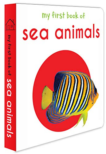 My First Book of Sea Animals: First Board Book