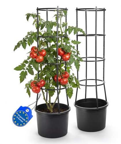 BigDean 2X Tomatentopf mit Rankhilfe XL mit Wasserspeicher | Mit Selbstbewässerung für Balkon und Terrasse