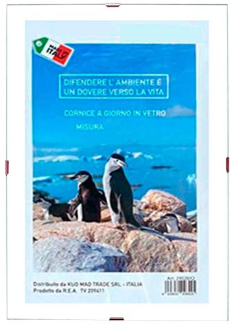 Acan Marco de Fotos con Cierres de Clip 15 x 20 cm, portafotos, Soporte sin Marco para fotografías, metacrilato, certificados y Recuerdos para Colgar en la Pared