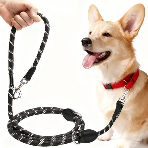 CAIEJSAEN Verstellbar Robuste Hundeleine Polyester Reflektierende Freihandleine Vielseitig Führleine und Umhängeleine mit 2 Karabiner zum Trainieren und Gassi Gehen für Große und Mittlere Hunde (3M)
