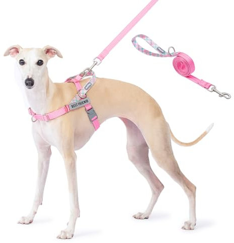 Wuffley Anti-Zug Hundegeschirr mit Leine, Hundegeschirr Kleine Mittelgroße Hunde, Geschirr Hund mit Griff und 2 Aufnähern, Reflektierendes, Leichtes Brustgeschirr Hund für Outdoor-Training（Rosa，M