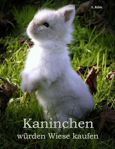 Kaninchen würden Wiese kaufen: Haltung und Ernährung von Zwergkaninchen - Informationen für engagierte Halter