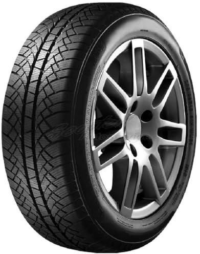 SUNNY - 185/65 R15 TL 88T WINTERMAX NW611 M+S 3PMSF - Winterreifen
