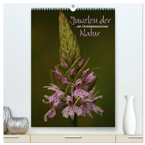 Juwelen der Natur - Ein Orchideensommer (hochwertiger Premium Wandkalender 2026 DIN A2 hoch), Kunstdruck in Hochglanz: Hochwertiger Fotokalender mit Motiven einheimischer Orchideen (CALVENDO Natur)