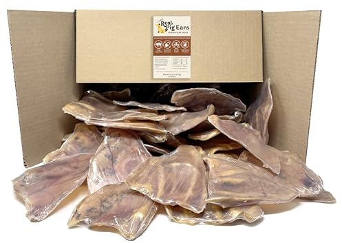 All Natural Pig Ears for Dogs – Single Ingredient, Individually Wrapped for Freshness & Odor Control – Long Lasting Rawhide Alternative Chews, Healthy Dog Treats for Medium & Large Dogs (50 Pack)