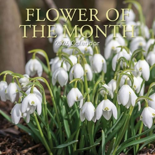 TGSC | Månadens blomma 2026 kalender 16 månader (sept 2025-dec 2026) Familj fyrkantig väggkalender 2026 UK | Planerare med stort rutnät för hem- eller kontorsorganisation - 2026/2025 kalender UK
