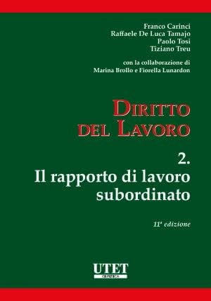 Diritto del lavoro 2 il rapporto di lavoro subordinato: Vol. 2