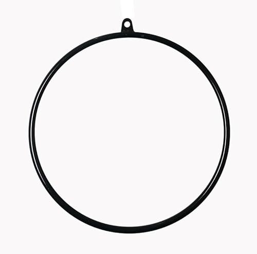 FFYUTING Professioneller Aerial Lyra Hoop, Circus Fitness Aerial Hoop Set, Single Point Aerial Yoga Hoop Ausrüstung aus Edelstahl, Aerial Yoga Hoop für Zuhause, Fitnessstudio, Clubs, 95 cm