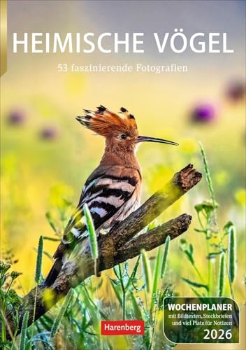 Heimische Vögel - Wochenplaner 2026 - Harenberg-Verlag - 54 Blatt mit großformatigen Vogelaufnahmen und viel Platz für Notizen - Wandkalender - 25 cm x 35,5 cm