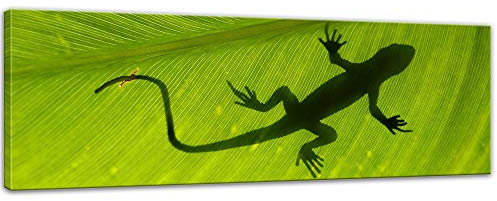 Keilrahmenbild - Gecko - Bild auf Leinwand 120 x 40 cm - Leinwandbilder Bilder als Leinwanddruck Tierbild Natur Gecko auf einem grünen Blatt