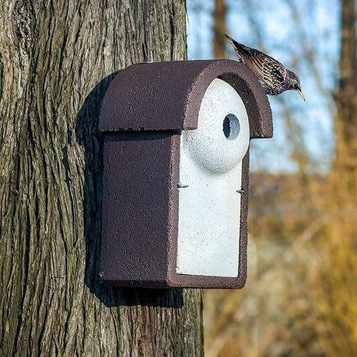 CJ Wildlife Nistkasten – Nistkasten für Vögel für draußen wetterfest – extra großer Woodstone® Nistkasten für Stare – Holzbeton – 10 Jahre Garantie