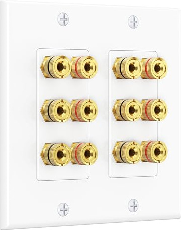 Cable Matters Doppelgang-Lautsprecher-Wandplatte, vergoldete Lautsprecher-Wandplatte mit Bananenstecker-Bindungspfosten für 6 Lautsprecher, Weiß