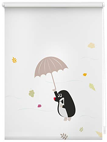 Lichtblick Klemmfix Tageslicht-Rollo mit Motiv, ohne Bohren, Blickdicht, Seitenzugrollo, Made in Germany, Maulwurf - Bunt 80 x 150 cm (B x L)