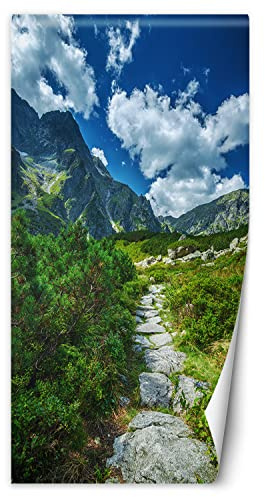 Feeby Türtapete selbstklebend Berge Trail Felsen 80x210 cm Türposter Türsticker Fototapete Wohnzimmer Schlafzimmer Kinderzimmer Büro Natur Büsche Himmel Grün